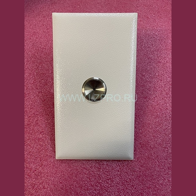 Вызывной пост с антивандальным кнопочным модулем КЛ-039-039