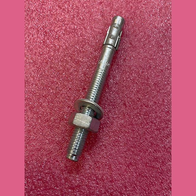 Болт анкерный M10x100 